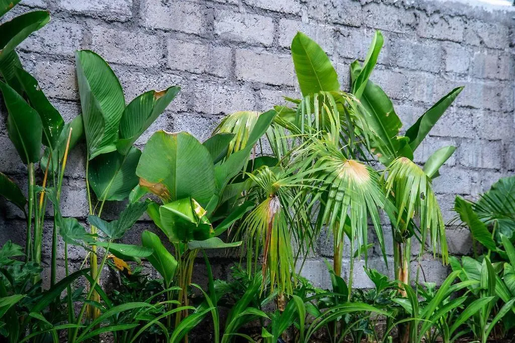 Soobali Mint Cottage Sanur 1Br Indonesia